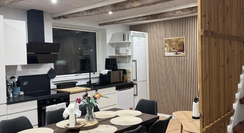 The Wild Swan - Big house with many beds in Odense - Free Parking - Image 1