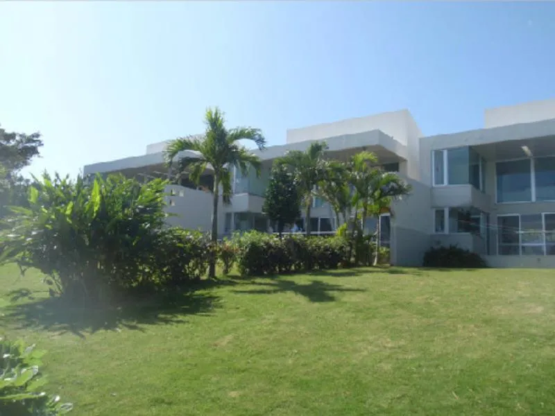 The Green Terrace - Image 1