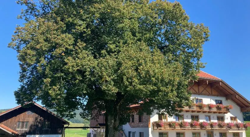Biohof-Feichtinger - Image 1