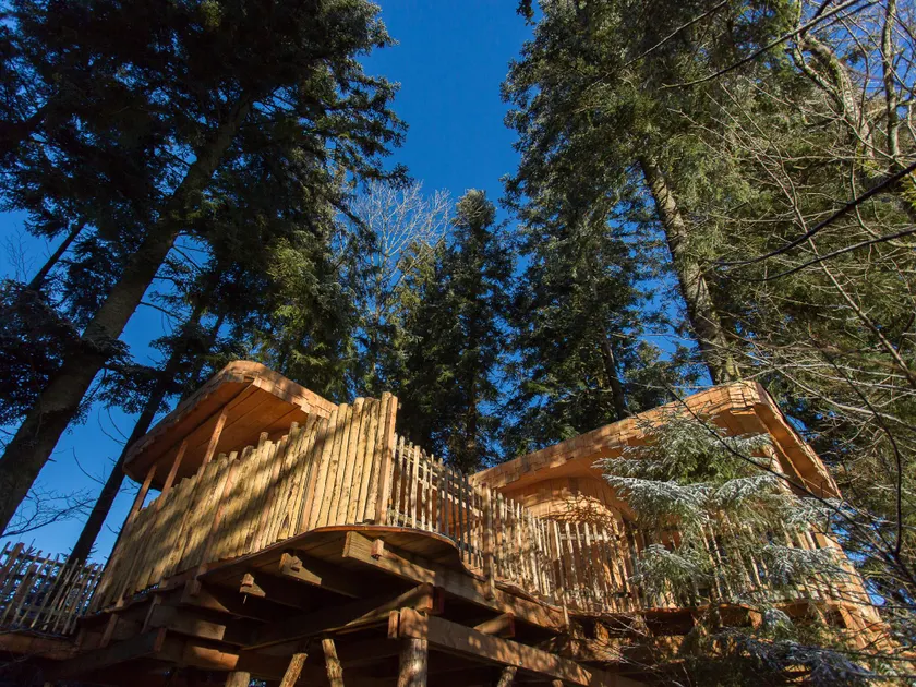 Domaine de l'Authentique Cabanes dans les arbres - Image 1