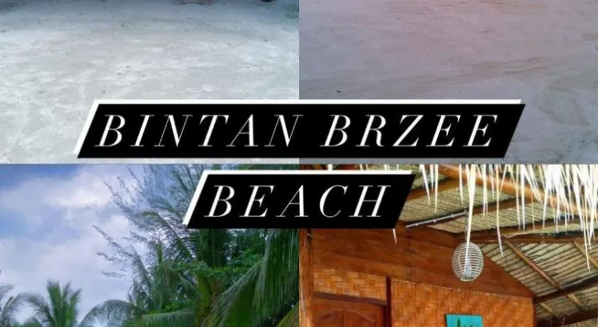 Bintan Brzee Beach in Bintan Island - Bungalow 1 - Image 1