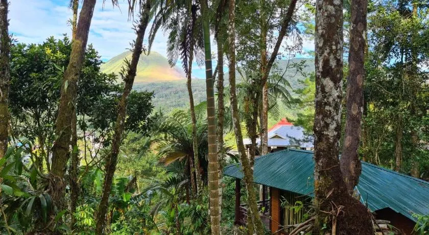 Rimba eco Resort - Image 1