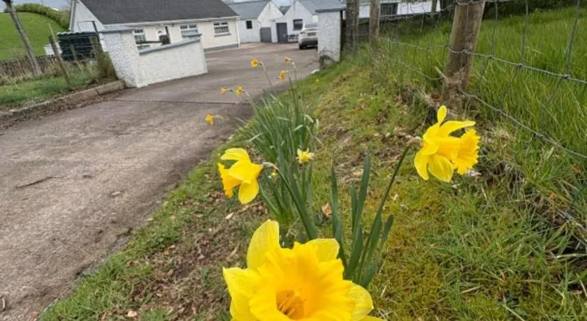 Ma Monaghan's Cosy Cottage County Tyrone - Image 1