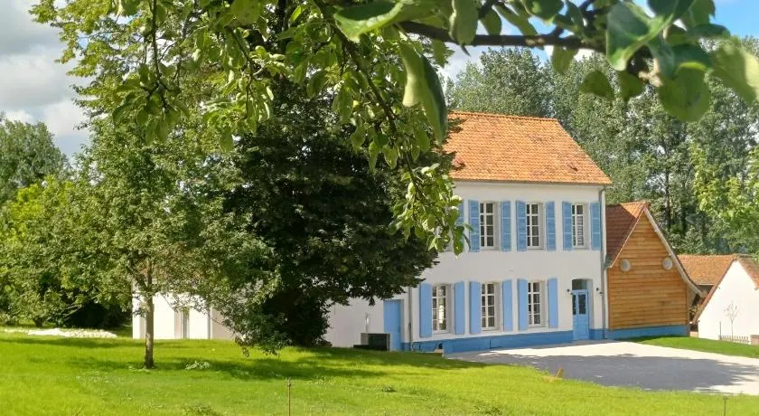 La Reinette des Prés - Image 1