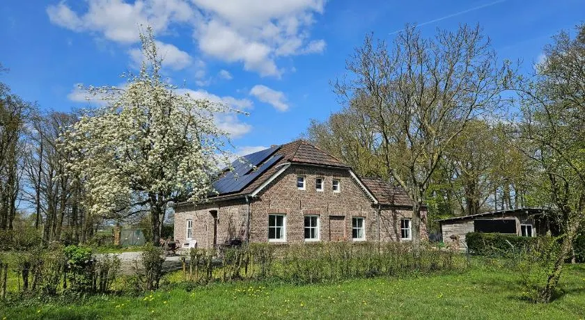 Die alte Waldkate - Windschief und mitten in der Natur - Image 1