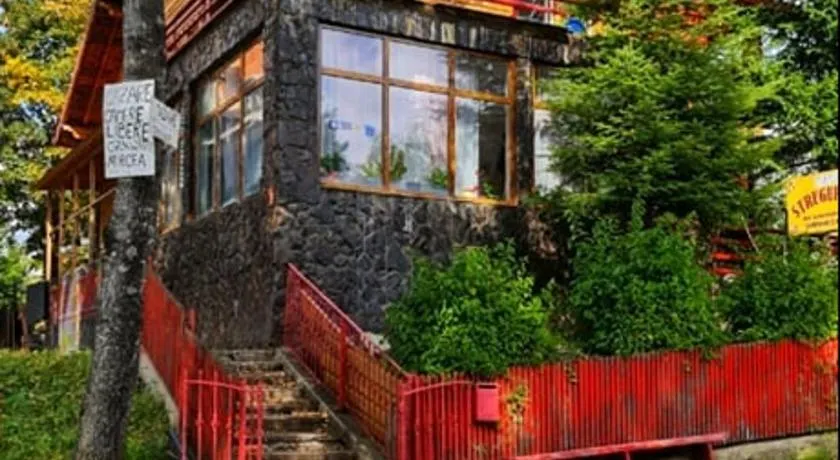 vila strugurelu hostel - Image 1