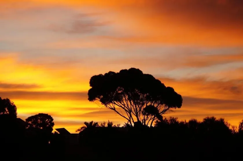 Lindsays of Kangaroo Island - Image 1