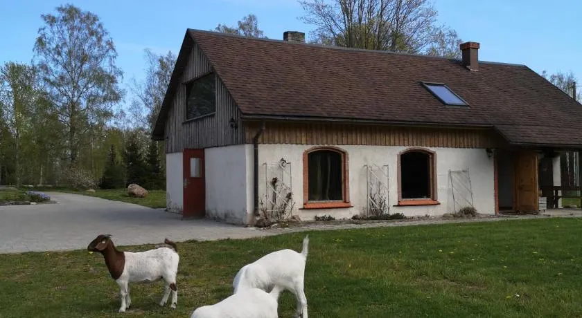 Atpūtas Vieta Raudiņi - Image 1
