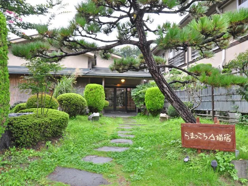 koyado kaziya - Image 1