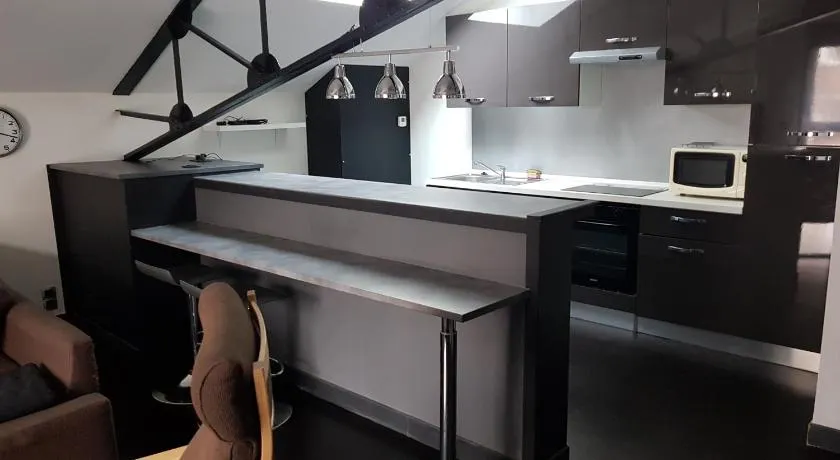 APPARTEMENT LOFT CROIX LILLE - Image 1