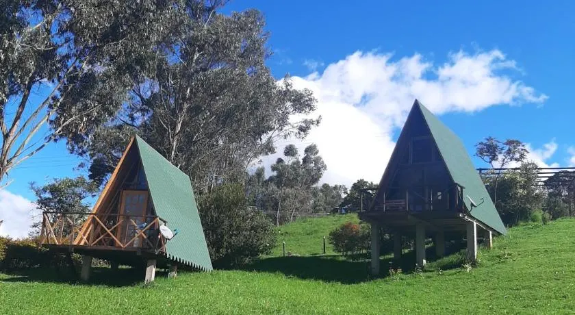 Animals Glamping - Image 1