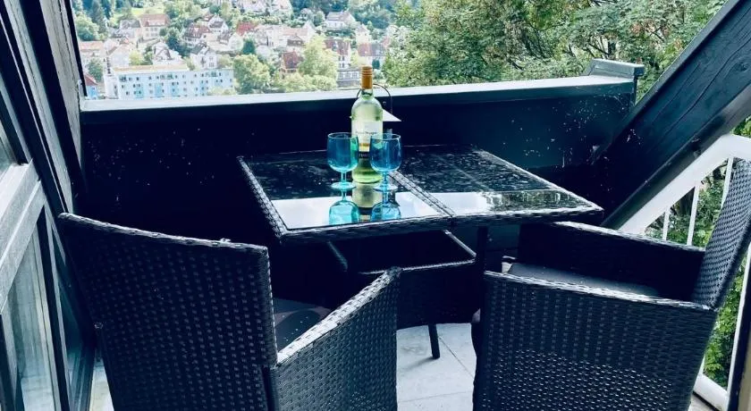 Penthouse Overlooking the Neckar - Image 1
