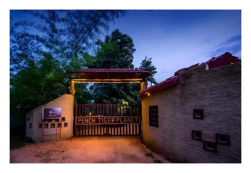 PENCH TIGER PLANET - Image 1