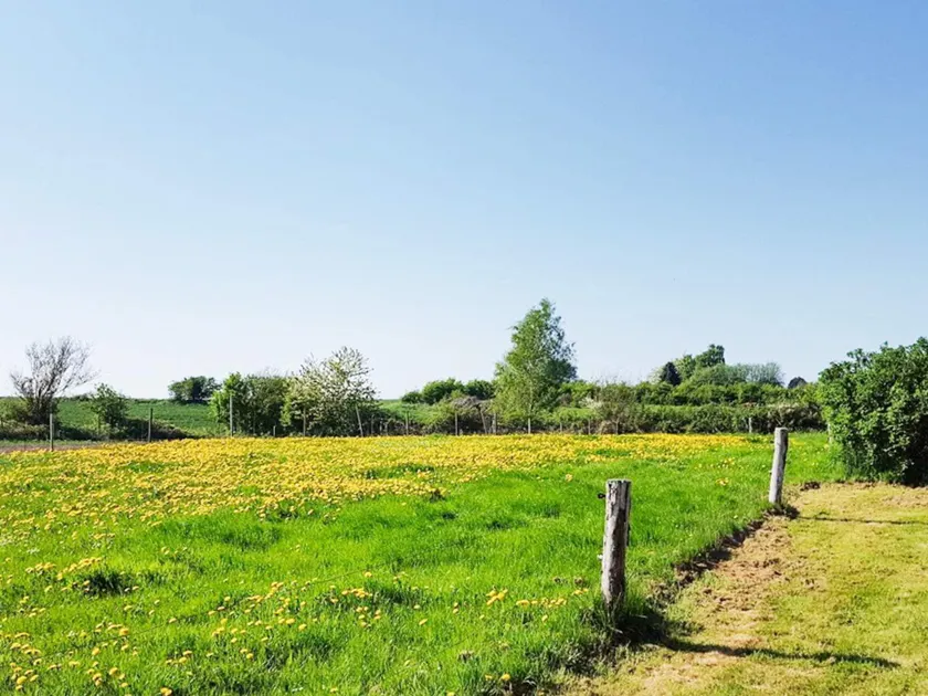 8 Person Holiday Home In Borkop - Image 1