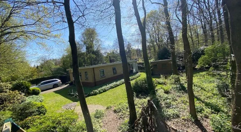 Bosbungalow Appelscha - Image 1