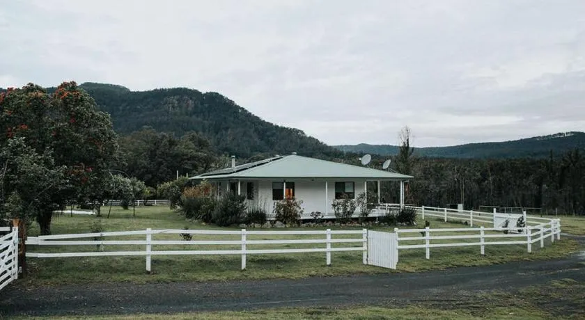 The Hamilton Kangaroo Valley - Image 1