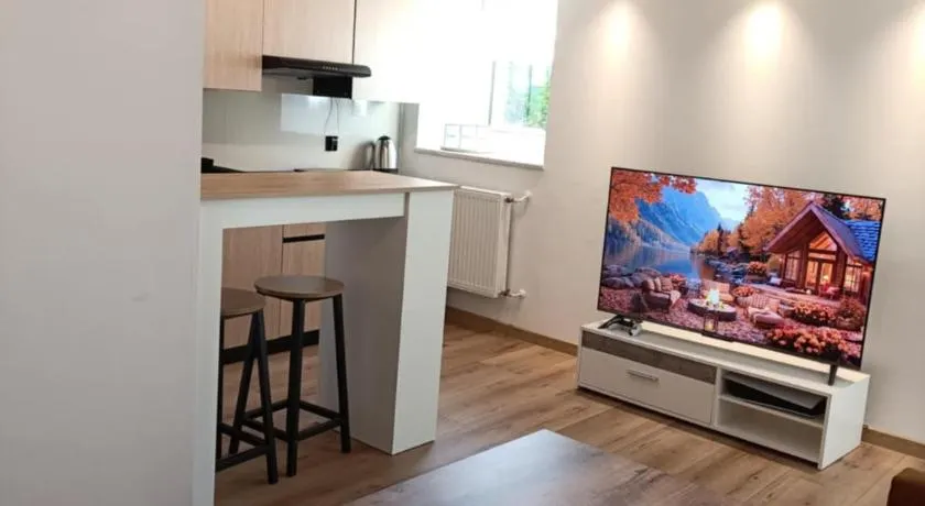 Apartament w Słupcu z PS5 WIFI HBO - Image 1