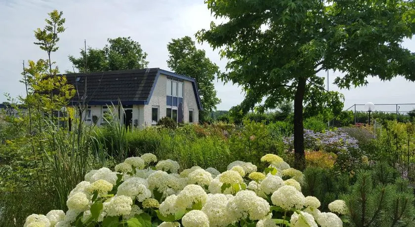B&B Bovenweg - Image 1
