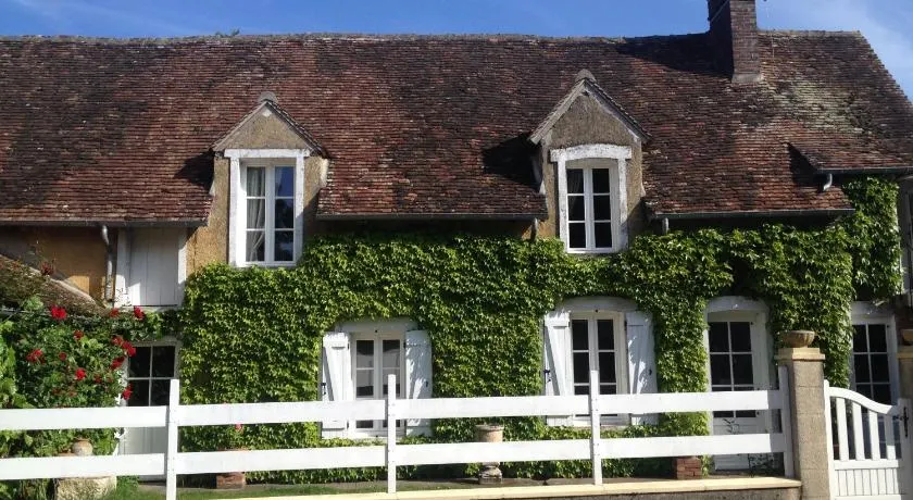La Vigne dorée - Image 1