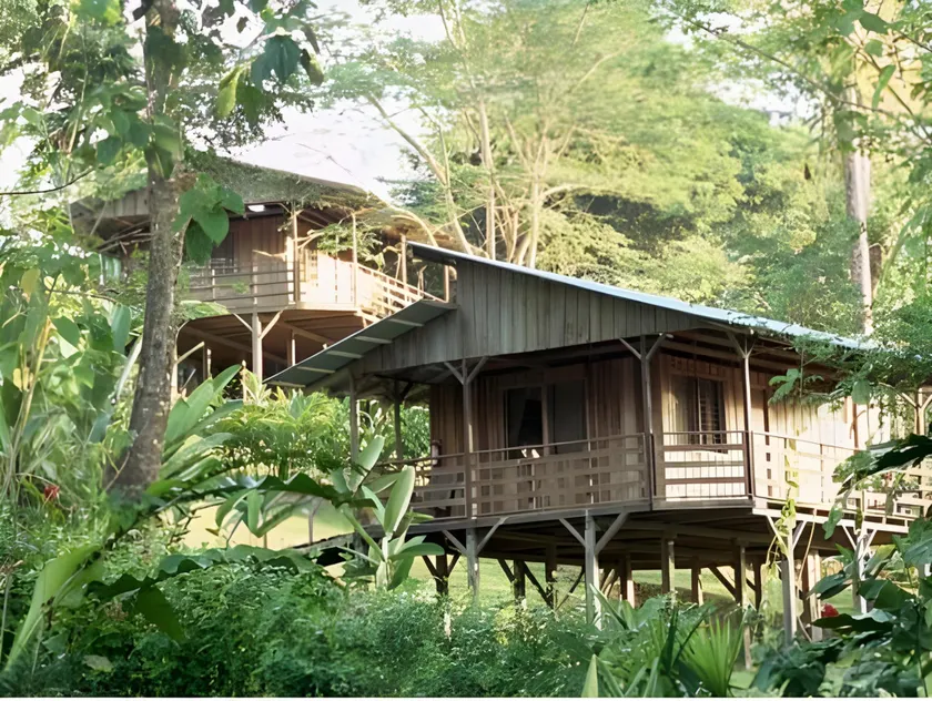 Selva Bananito Lodge - Image 1