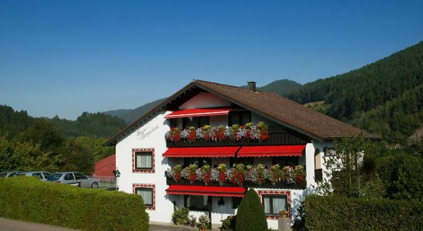 Haus Bergwiese - Image 1