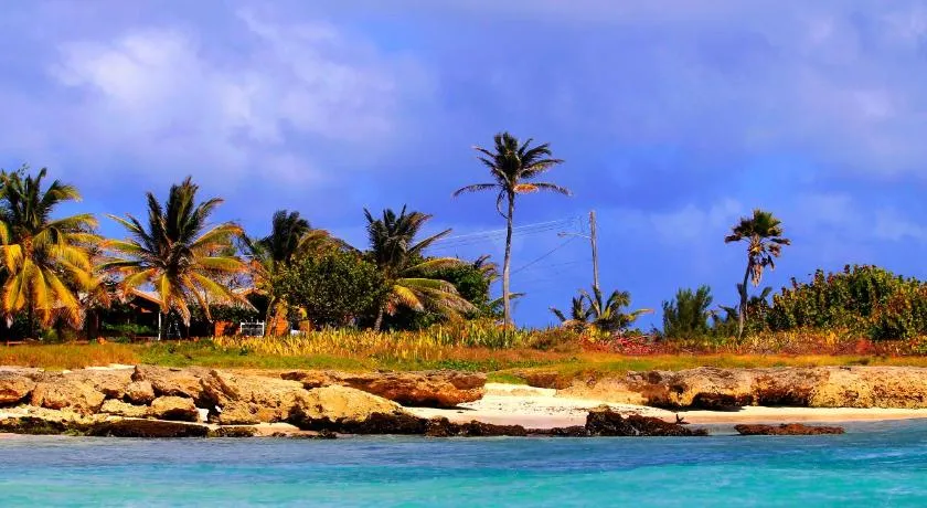 Paisaje marino Casa de playa Casa de vacaciones tropical Surfers Point Barbados Oceanfront - Image 1