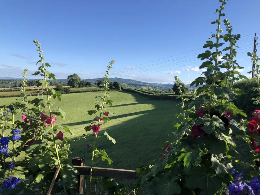 Betula Views - Image 1