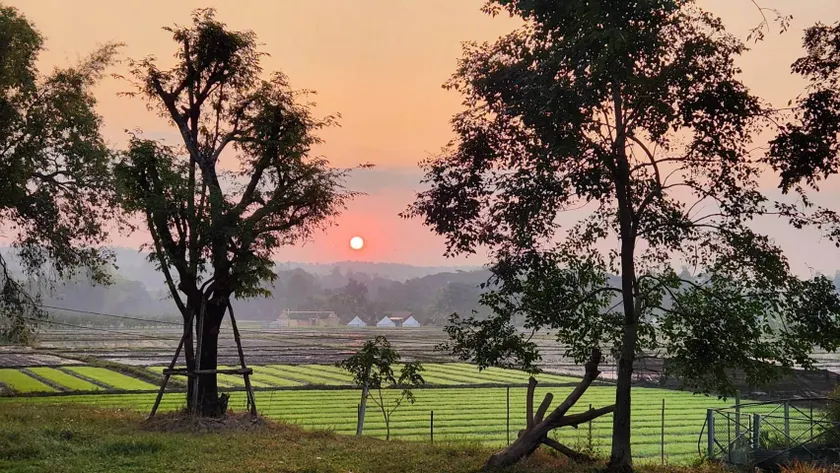 DGD Chiangmai - Image 1
