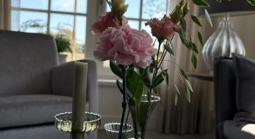 B&B de Plattelandshoeve - Image 1