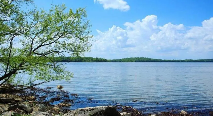 1Min to Percy Priest Lake 2 Masters Quiet Family Home - Image 1