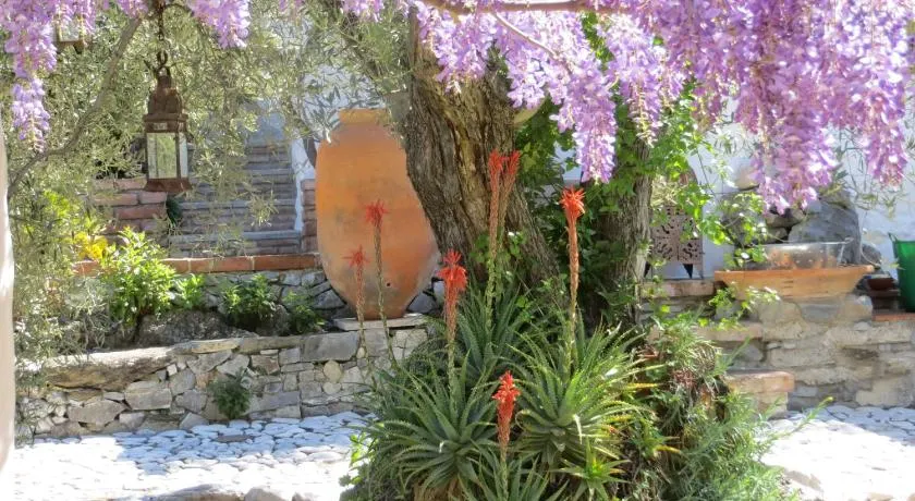 Colores en el Viento - Image 1