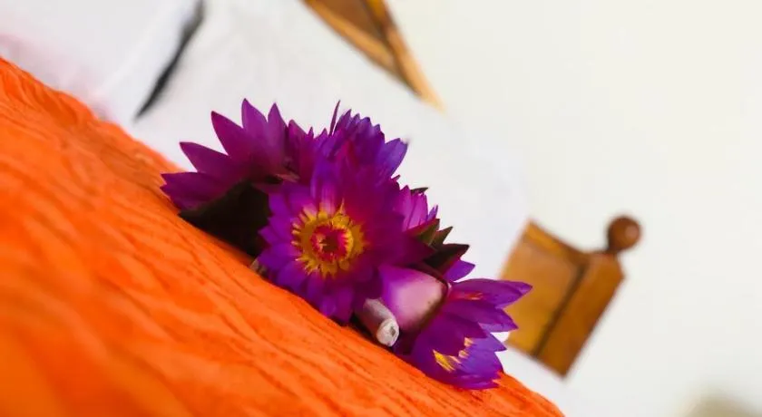 Samanala Resort - Image 1