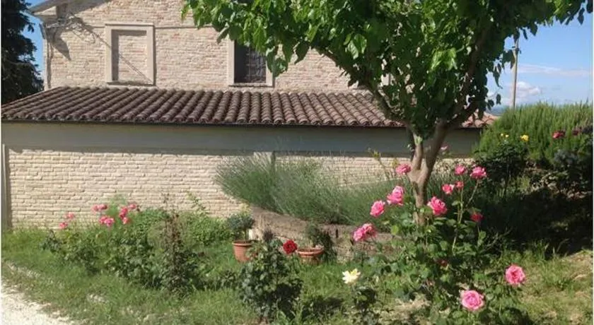 All'ombra degli Ulivi B&B - Image 1