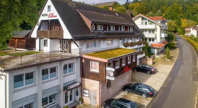 Hotel Bellevue - Image 1