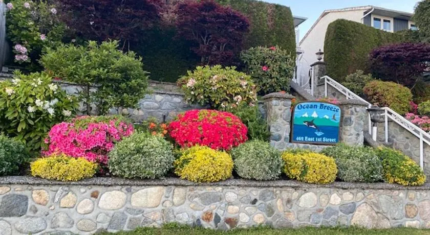 Ocean Breeze Executive Bed and Breakfast - Image 1