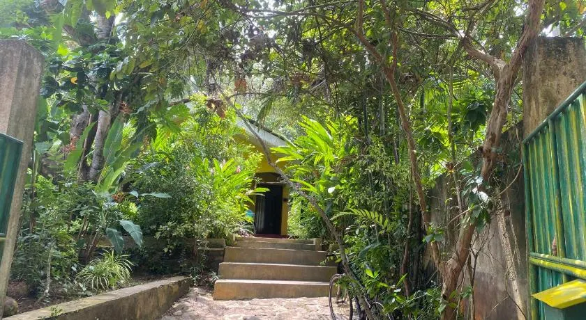 R&N Yellow House - Image 1