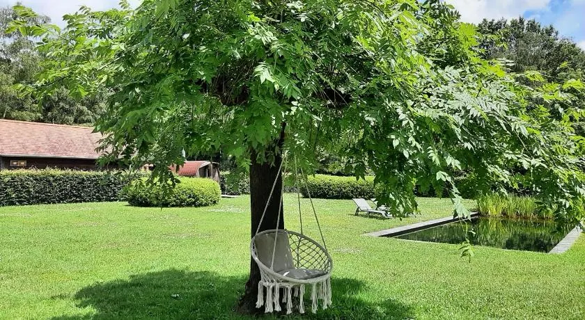 B&B De Levensboom - Image 1