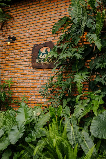 Dancasa Horse Farm & Homestay - Image 1