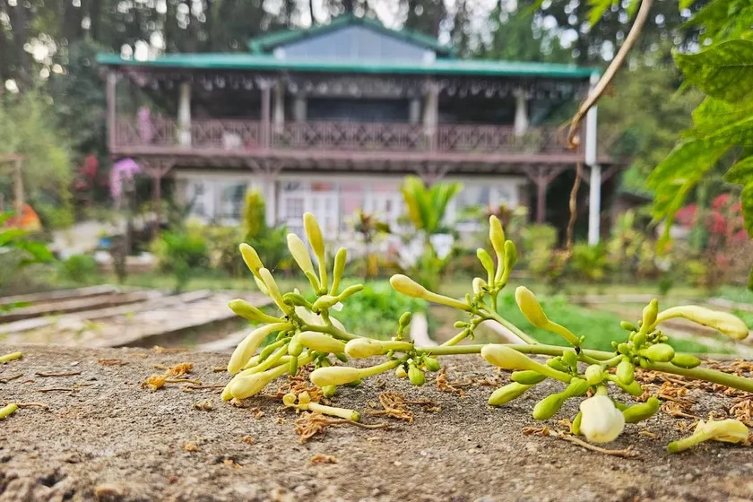 Forest Side Farm - Homestay at Kotabagh Near Nainital and Jim Corbett - Image 1