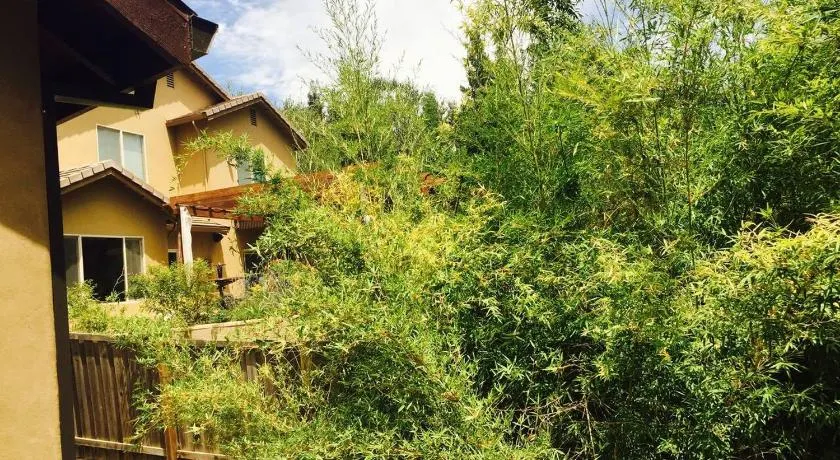 Beautiful house by the river and the villager - Image 1
