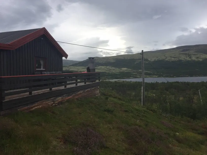 Live in the realm of the musk oxen on Dovrefjell - Image 1