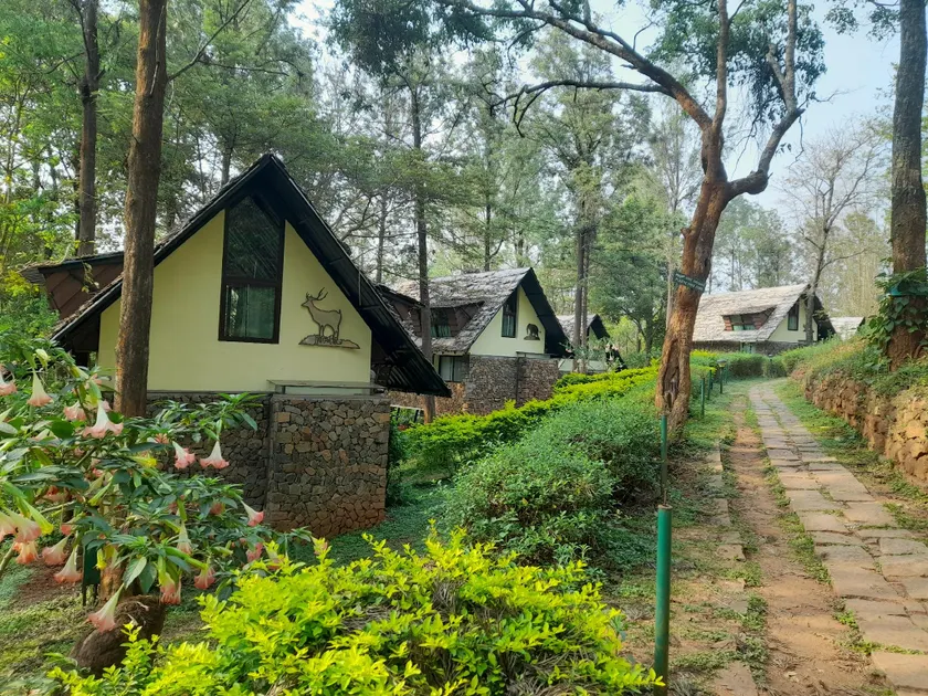 Gorukana Eco Wellness Centre - Image 1