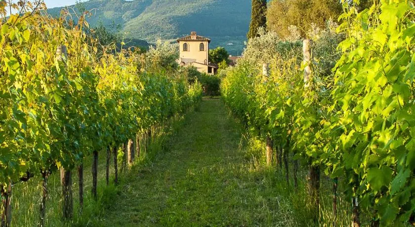Villa Il Paradisino - Image 1