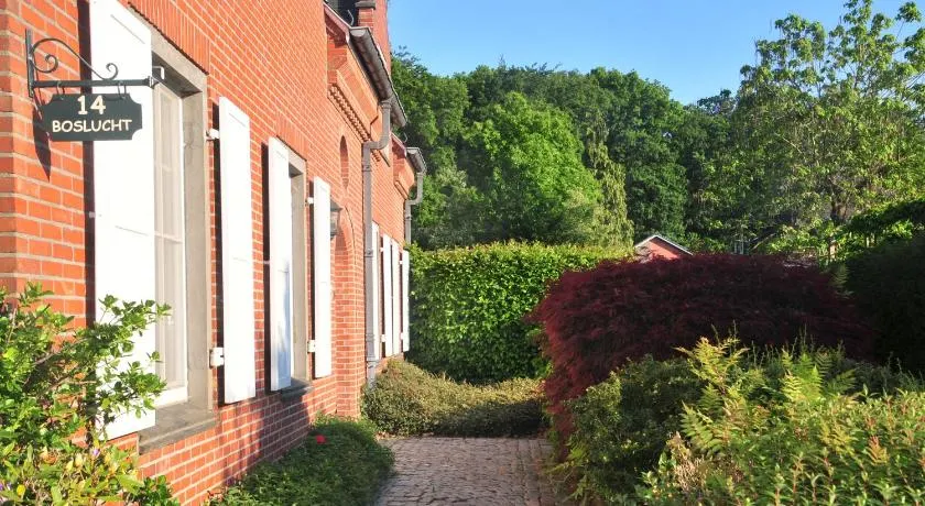 Boslucht Leuven - Image 1