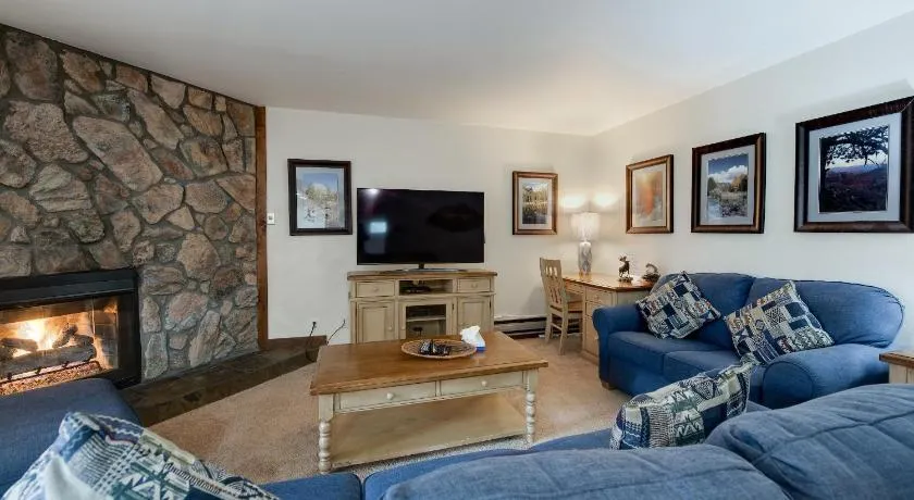 Park Place 305C sci-in condominio del centro Breckenridge in Colorado per le vacanze - Image 1