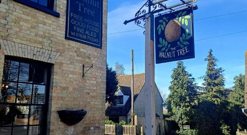 the walnut tree - Image 1