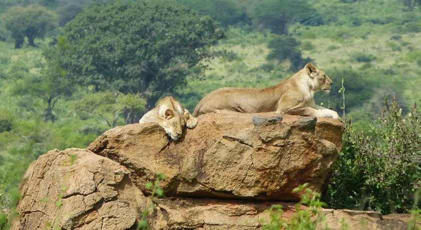 Tausa Tsavo Eco Lodge - Image 1