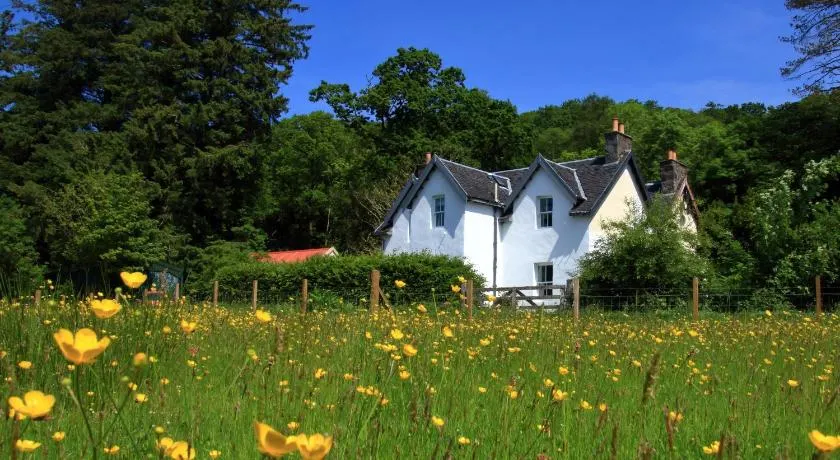Achnacriche B&B - Image 1