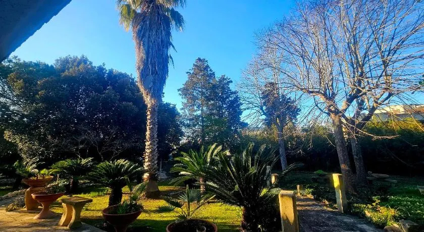 La Pineta - Image 1