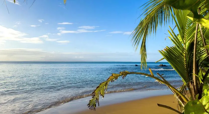 Central Vieques 2BR | Walk to Ferry, Beach & Plaza - Image 1